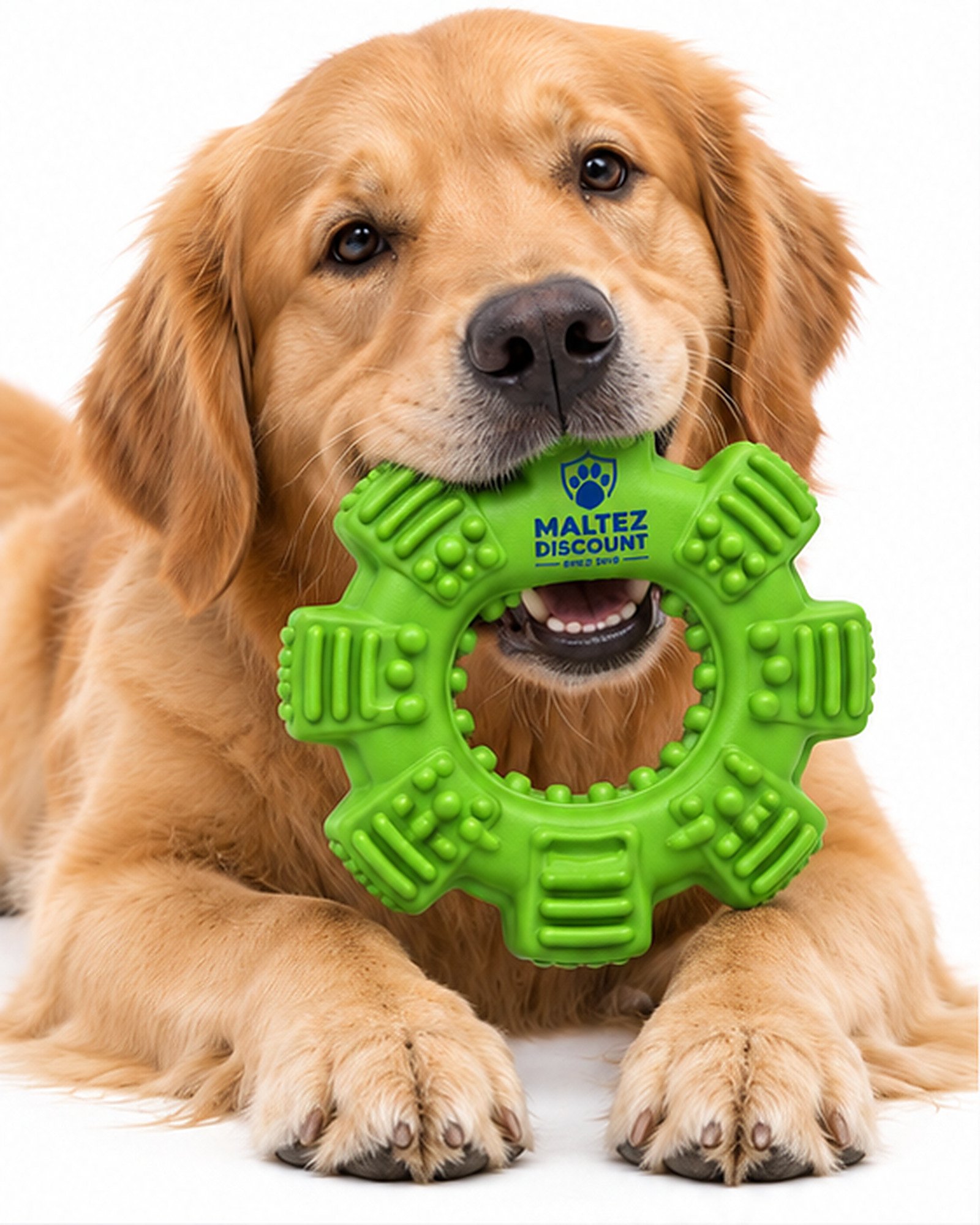 Maltez Discount Textured Ring Dog Chew Toy - Green - Image 5