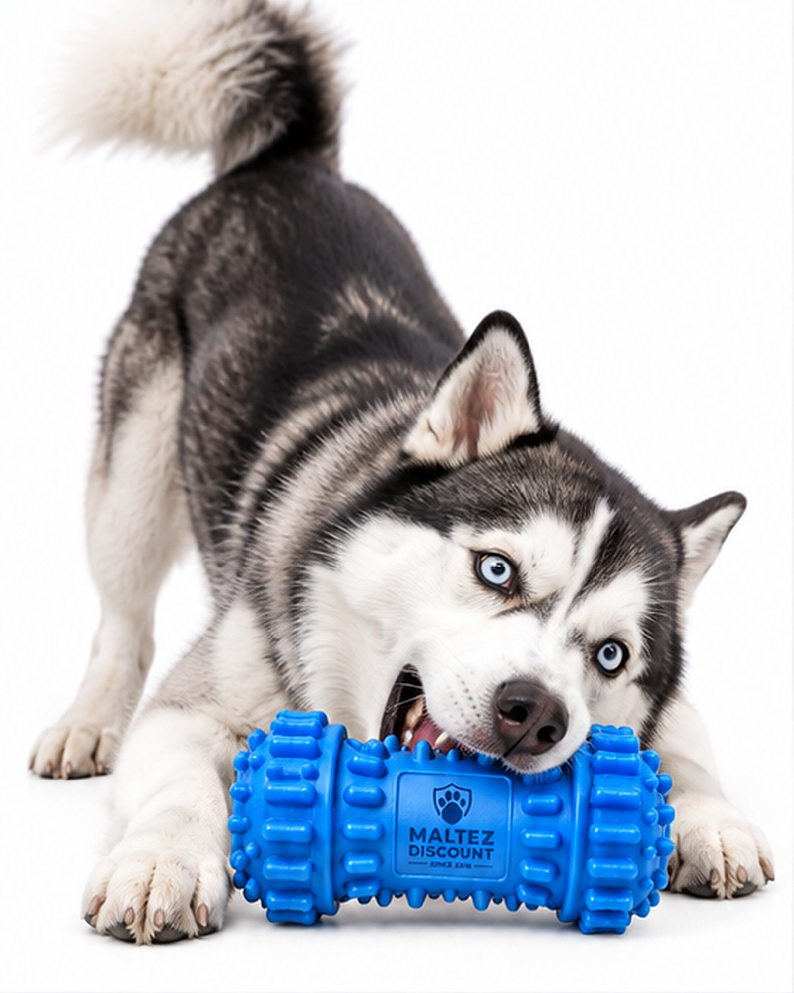 Maltez Discount Hollow Center Dog Chew Toy - Blue - Image 5