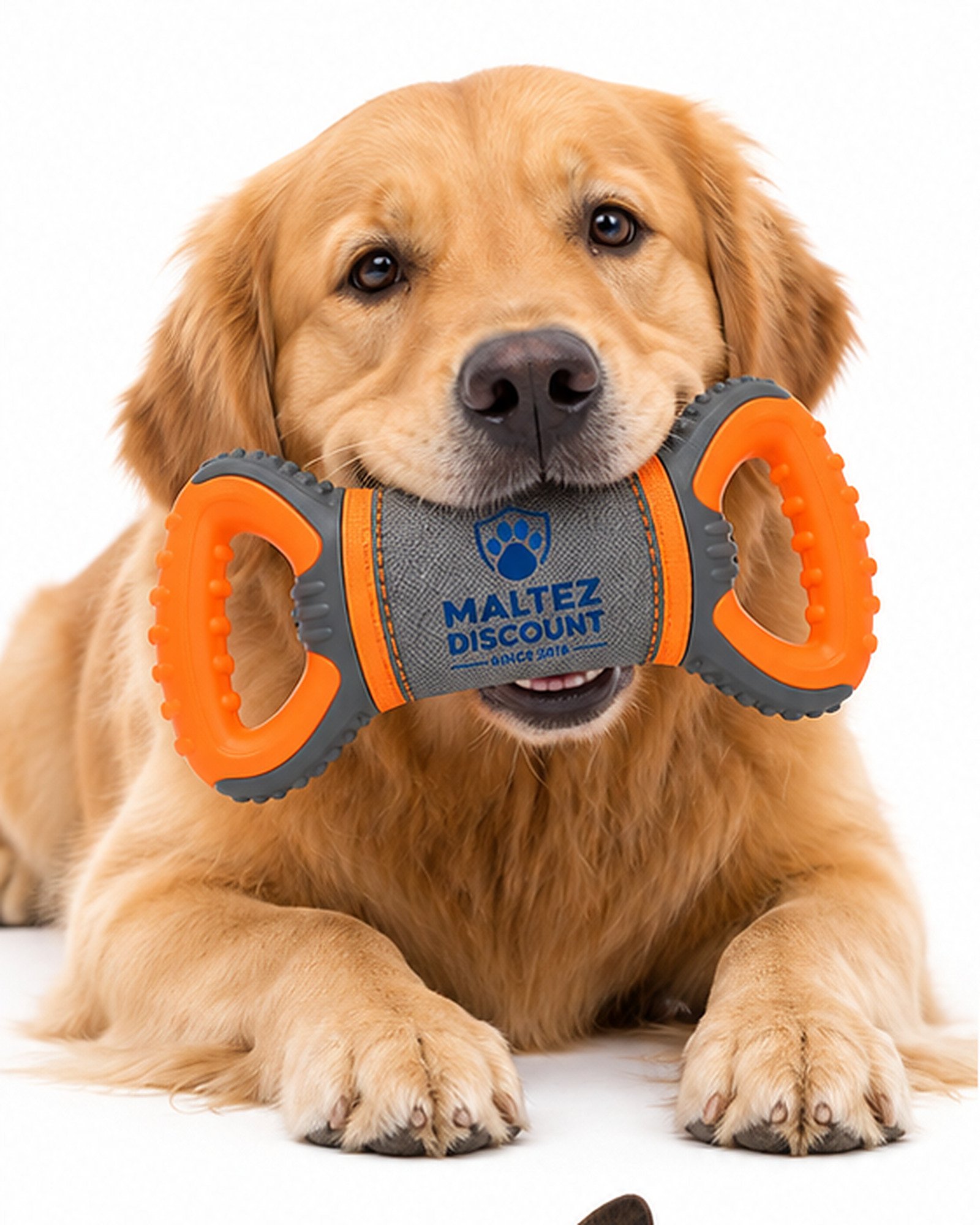 Maltez Discount Dual Handle Dog Tug Toy - Orange and Gray - Image 5