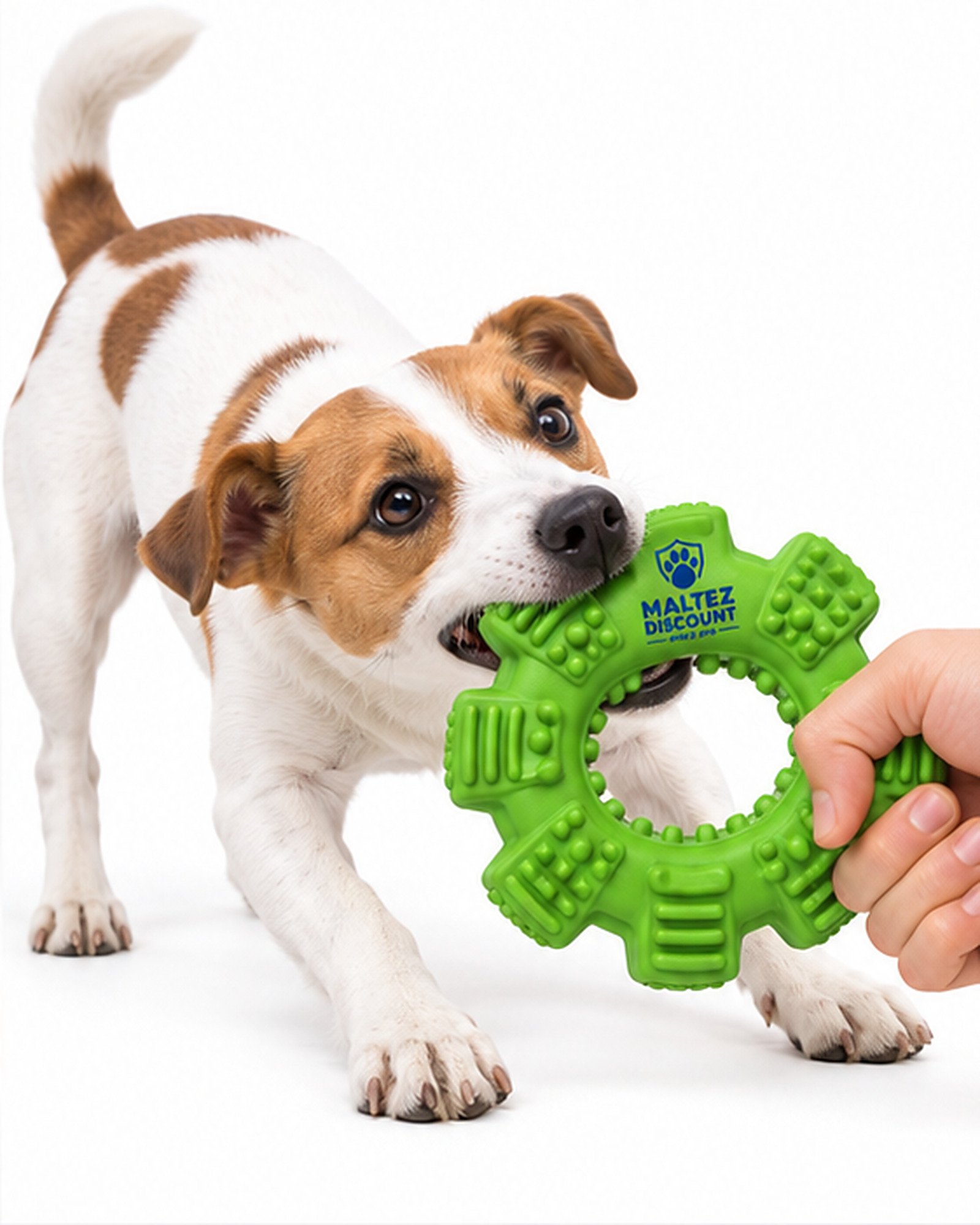Maltez Discount Textured Ring Dog Chew Toy - Green - Image 6