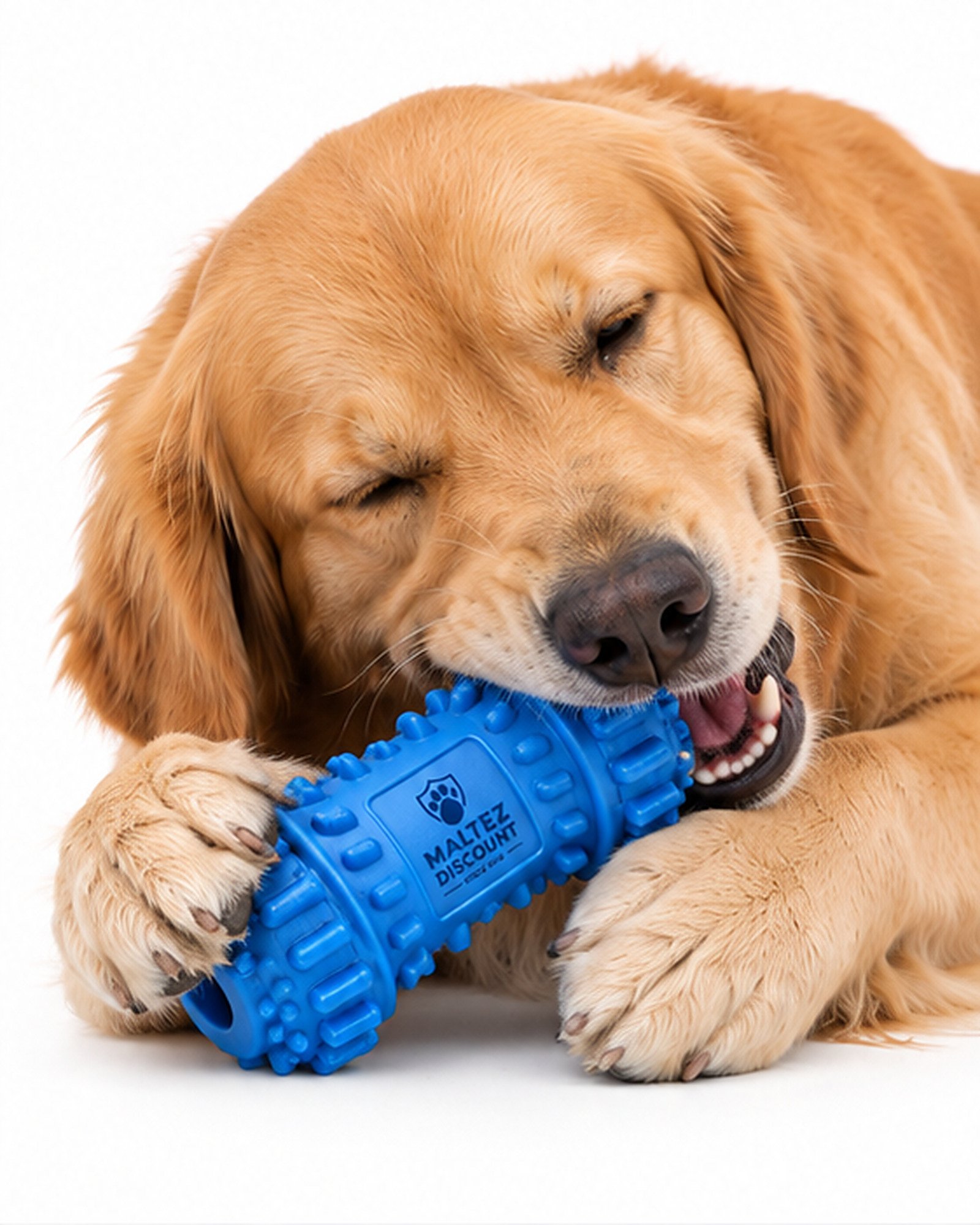 Maltez Discount Hollow Center Dog Chew Toy - Blue - Image 6