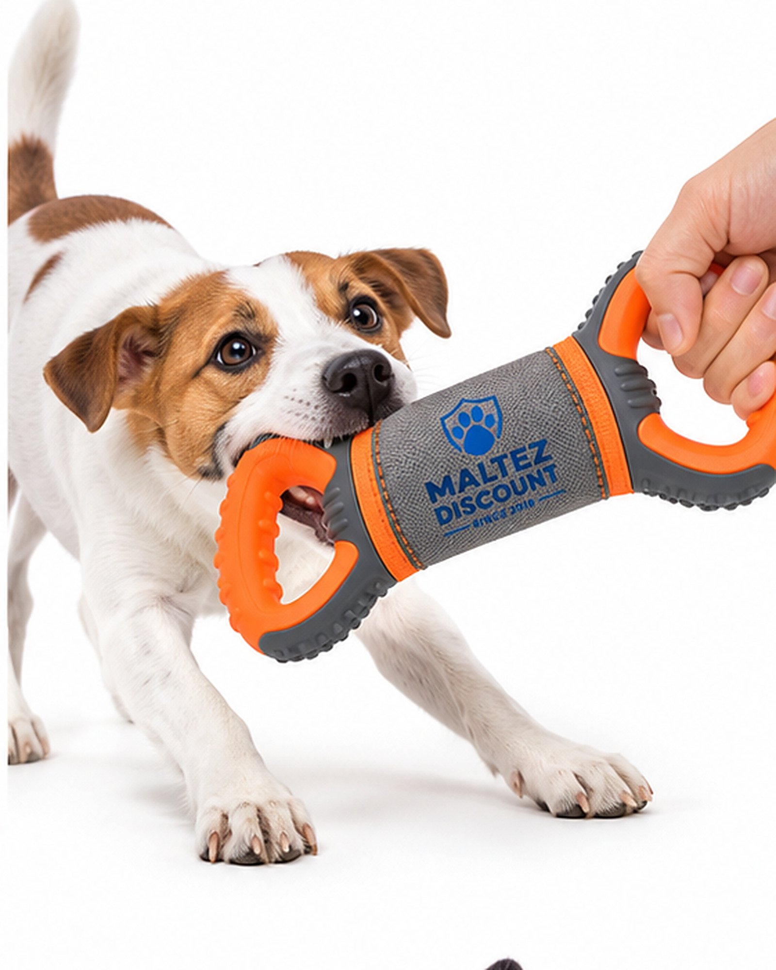 Maltez Discount Dual Handle Dog Tug Toy - Orange and Gray - Image 6