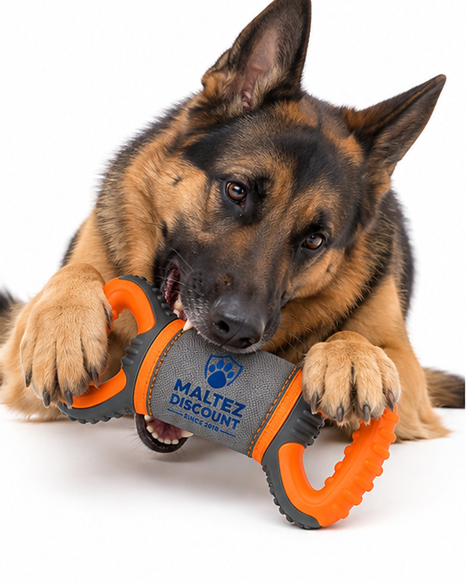Maltez Discount Dual Handle Dog Tug Toy - Orange and Gray - Image 7