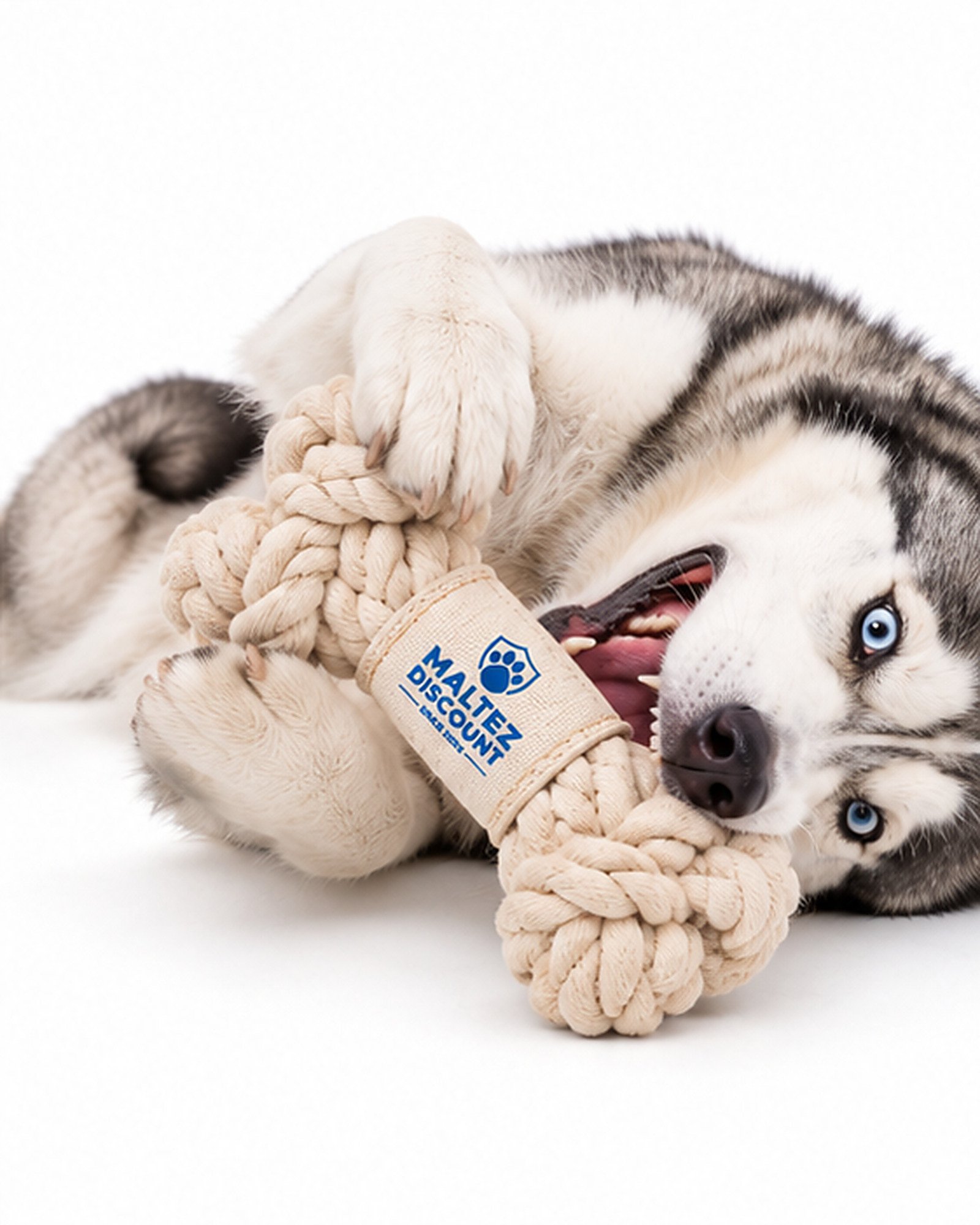 Maltez Discount Knotted Rope Bone Dog Toy - Natural - Image 8