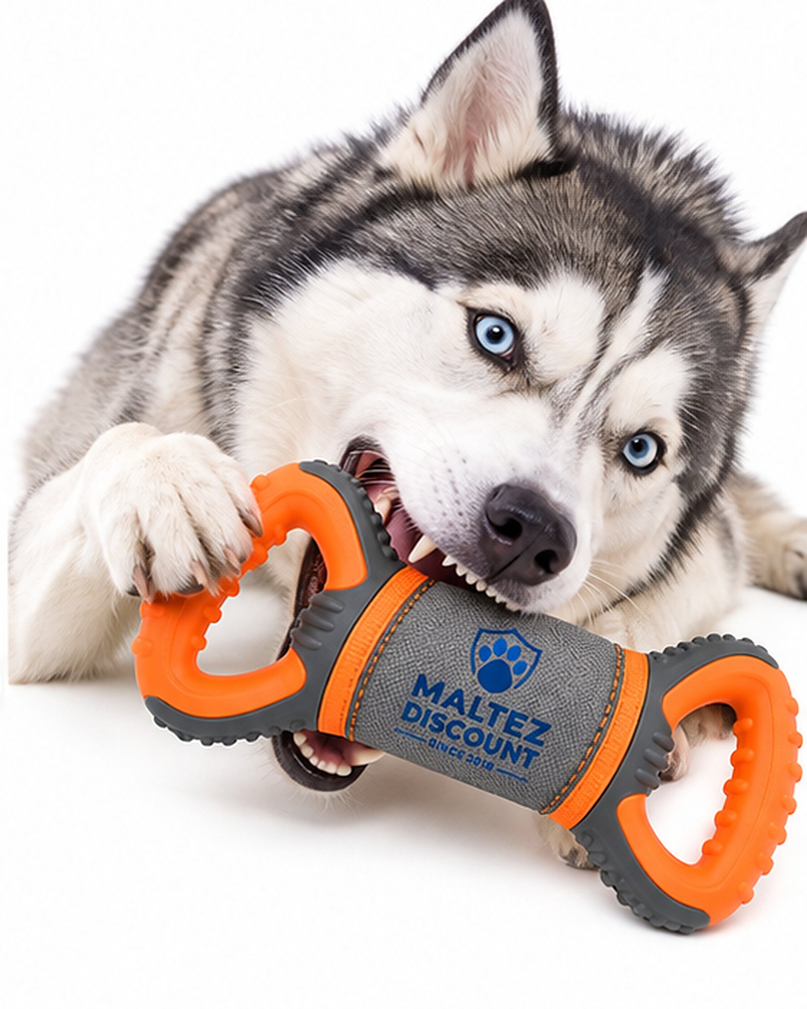 Maltez Discount Dual Handle Dog Tug Toy - Orange and Gray - Image 8