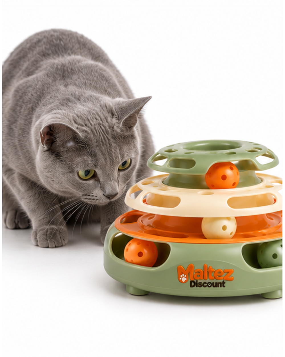 Gray cat crouching beside the three-tier ball track