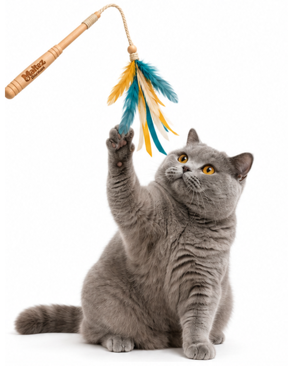 Gray cat reaching up a paw to bat the feathers of the teaser wand