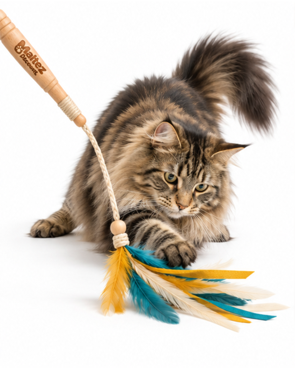 Long-haired tabby cat pouncing on the feather bundle on the floor