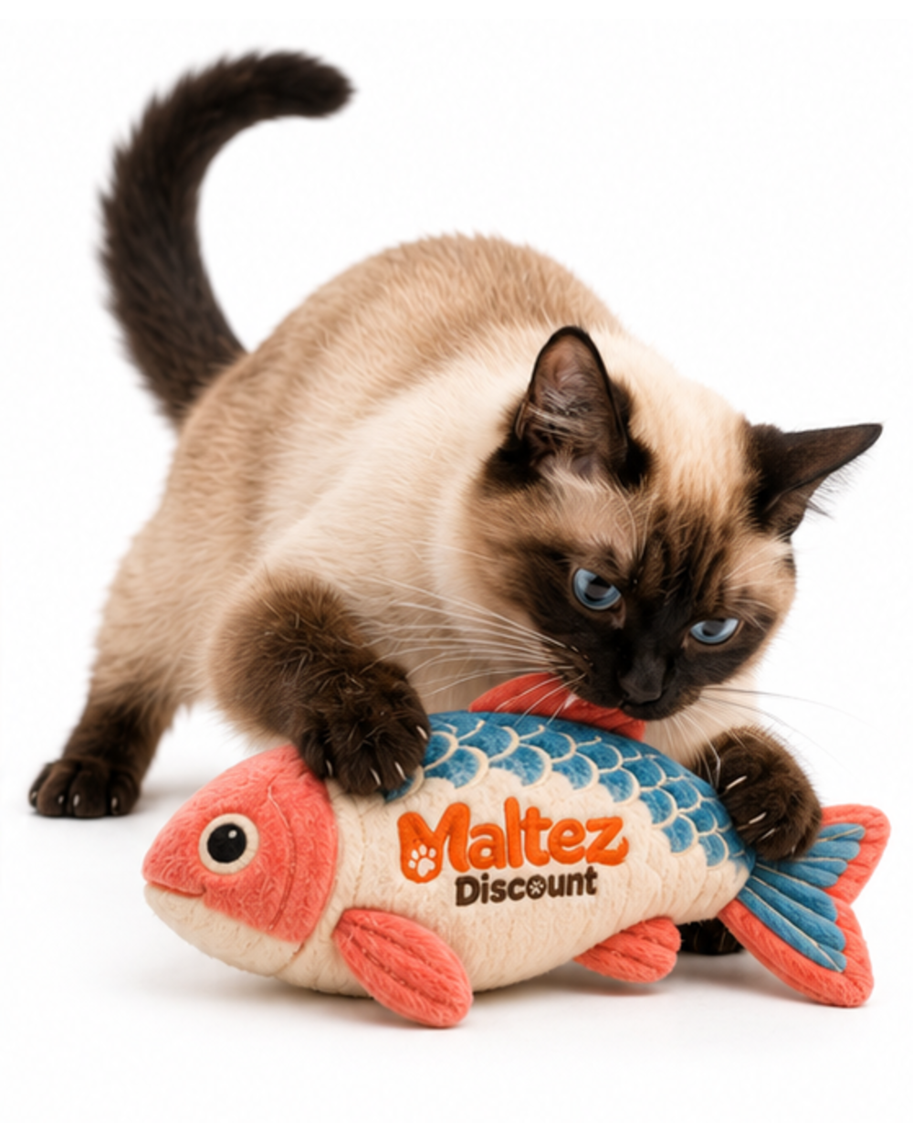 Siamese cat pinning the plush fish kicker toy with its paws